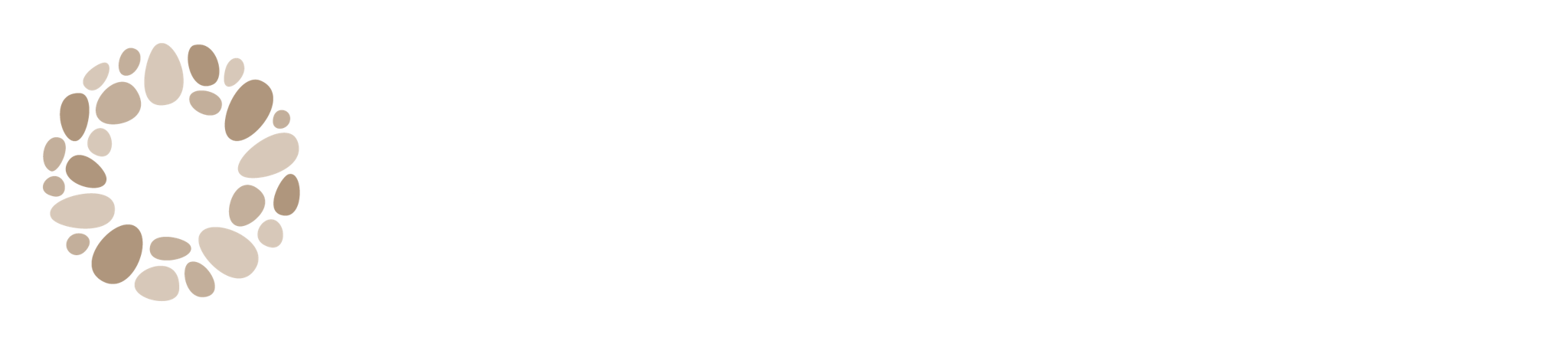 In Safe Company